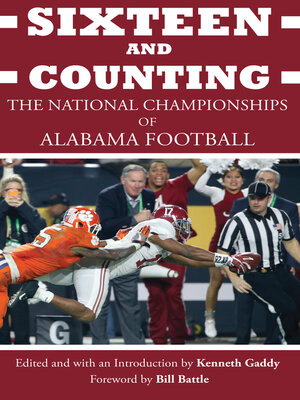 cover image of Sixteen and Counting
